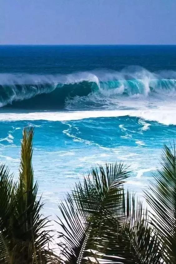 海岛旅游签证流程,海岛签证条件一览表