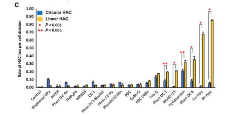 绔矑閰剁殑鎶楃檶鐮旂┒,绔矑閰惰兌鍥婃姉鐧屾垚鍔熺巼