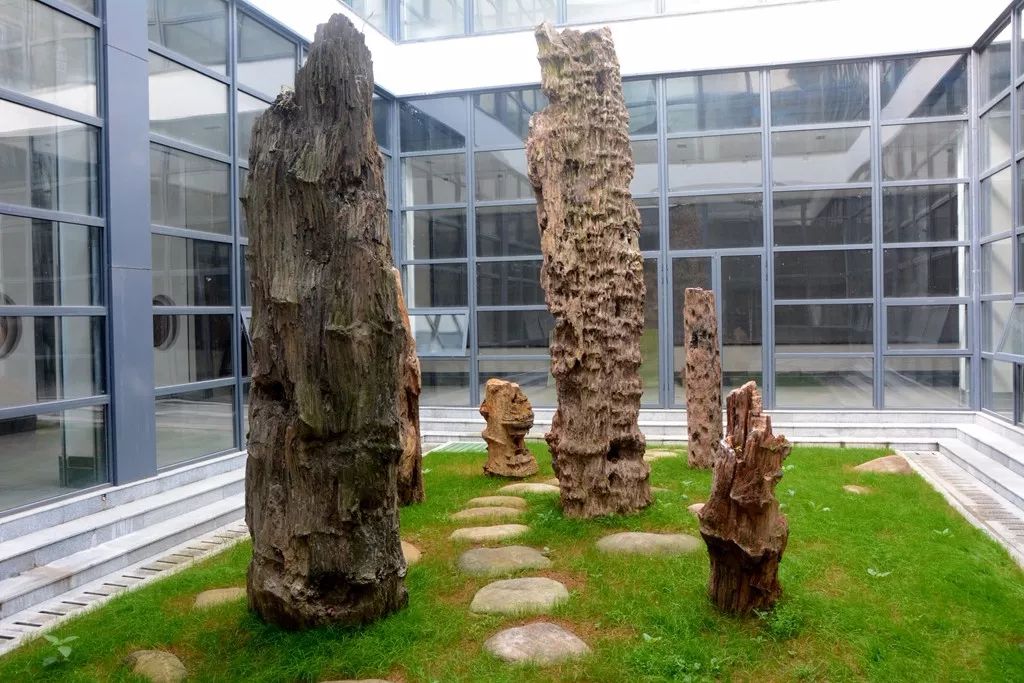 婺源瓷器博物馆,婺源博物馆里有什么文物