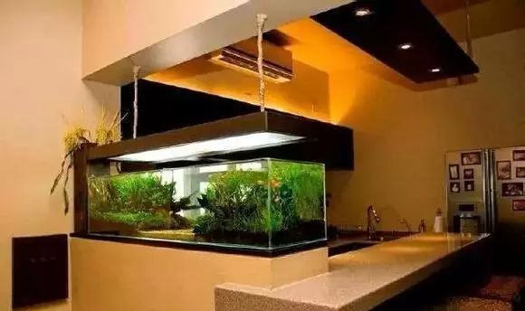 点赞!|长大在“创青春”全国大学生创业大赛中斩获佳绩