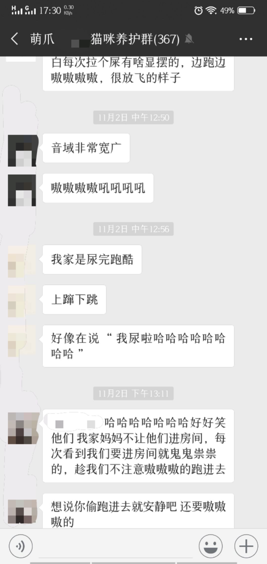 说猫咪是傻子的视频,当人类说猫咪傻