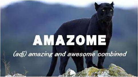 趣闻｜最潮最新鲜的英文合成词，来学呀！