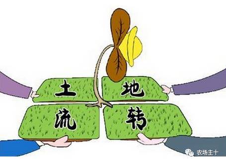 土地流转只是少数人的盛宴，大多数人都亏得惨不忍睹？！