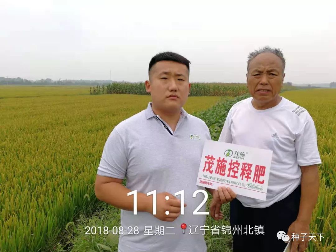 水稻种植用肥,粳稻施什么肥好