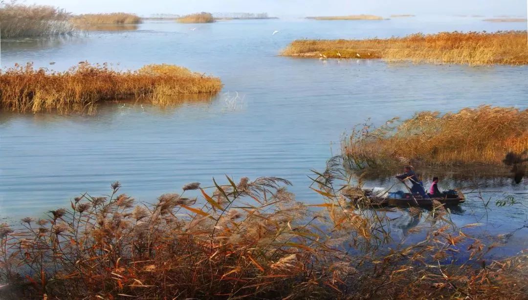 徐州秋景哪个地方最好看,徐州周边赏秋景的地方