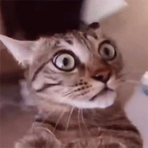 代购、代排队，现在还有代吃喝？？话匣妹亲测，眼看着别人吃下了……