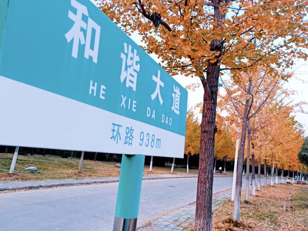 淮南师范学院教学评价,淮南师范学院学科评估