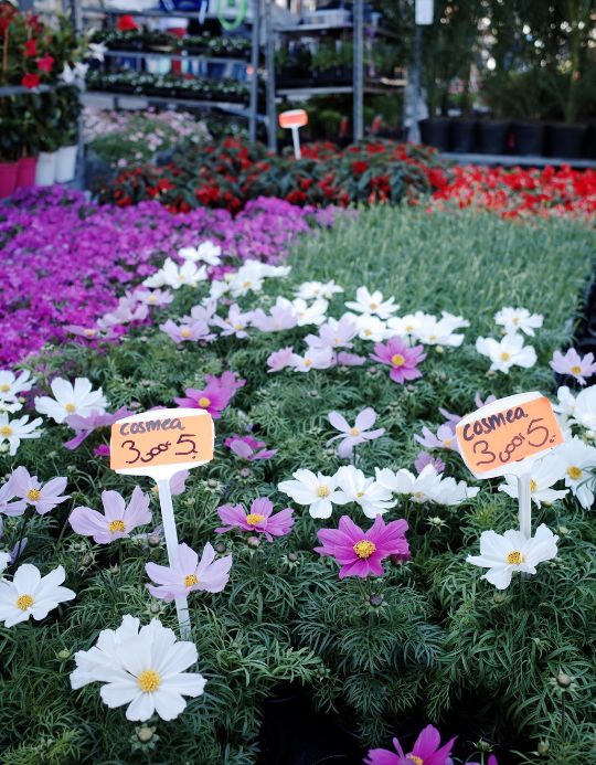 寻访波希之足迹