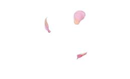 产妇过了42天还需注意些什么,产后42天恶露不净怎么办