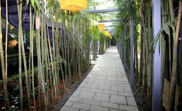 深圳最贵私家菜餐厅,深圳最贵几大美食餐厅