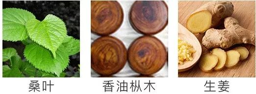 失眠最快入睡的中医方,中老年重度失眠安神助眠神器