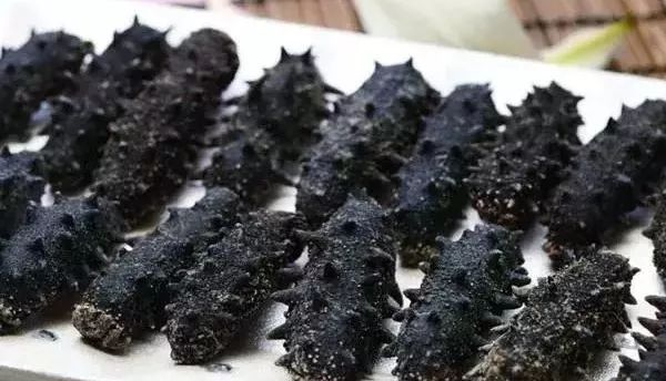 青岛的海参好还是大连的海参好,大连海参怎么买才正确