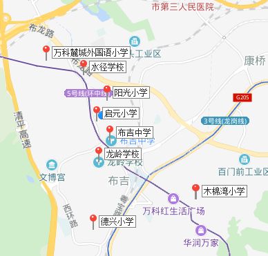 深圳布吉最繁华的地段,深圳被严重低估的地段