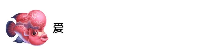 蛇纹罗汉鱼苗怎么挑选,鸿运罗汉鱼苗挑选视频