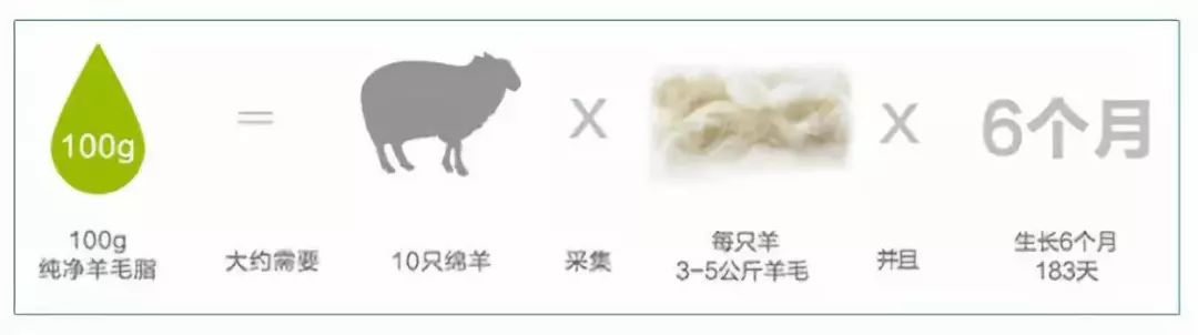 卖疯了！澳洲平价绵羊油，秋冬补水保湿首选，一罐用全身，英国女王都打call