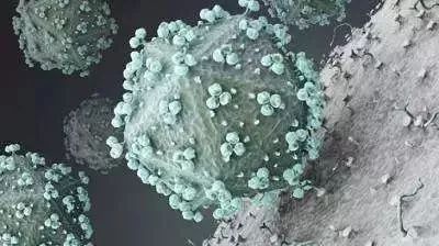 男子发现梅毒潜伏20年,男子身患梅毒