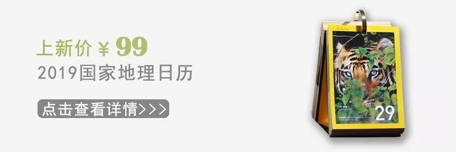 lv来中国,lv旅行箱限量