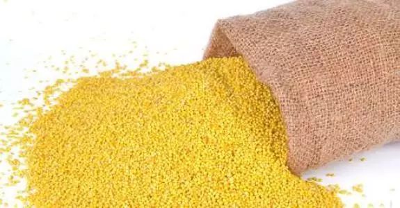 有机小米种出绿色致富路,有机小米绿色健康