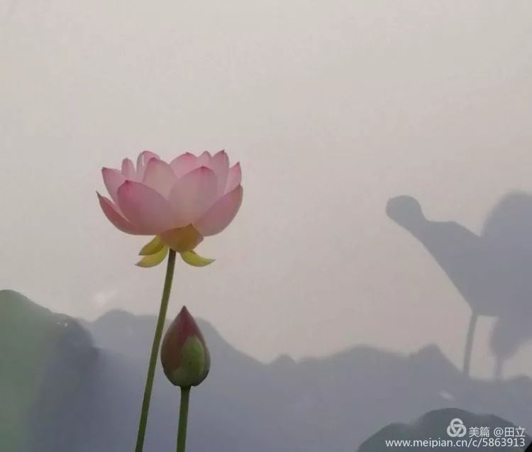 「荐读」名贤集值得一读