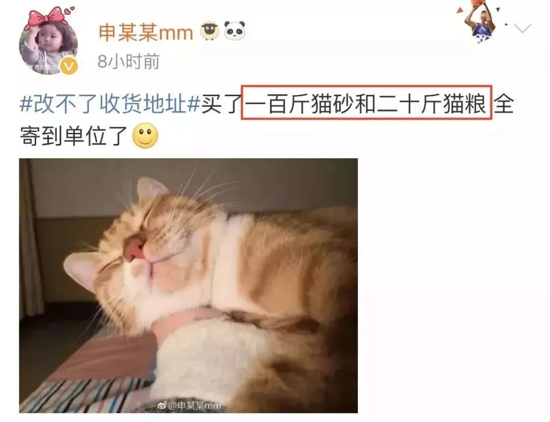 那一夜他喝多了，下单了一只小香猪、一只母孔雀、一条娃娃鱼，醒来后……