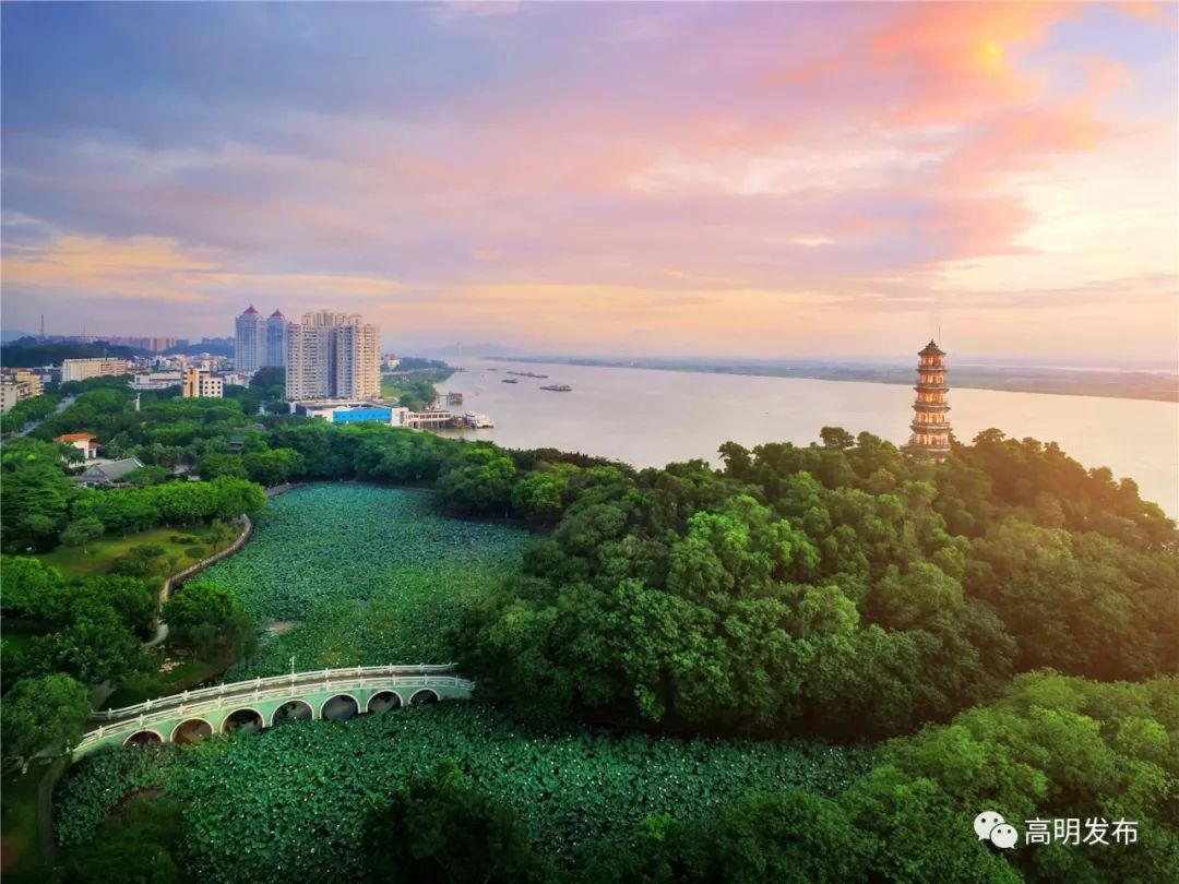 亮了！高明上半年“成绩单”出炉！哪个镇街的成绩最抢眼？