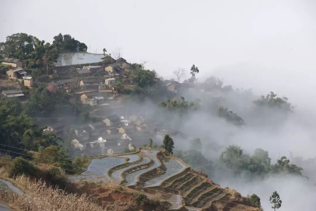 元江哈尼山寨旅游攻略,元江一年一度哈尼十月长街宴视频