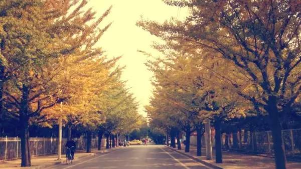 你是正宗的锦州人吗？这几道题都答不上来，就拜出去吹了哈～