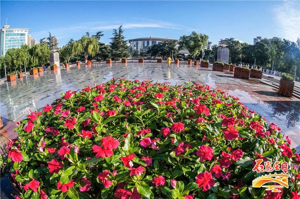 石家庄约会浪漫的地方有哪些,七夕约会地方推荐石家庄