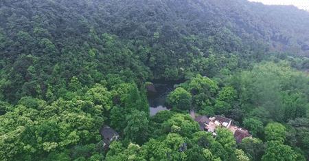 自称“射鸡师”！这个“不太正经”的设计师把酒店开了半个中国，今年终于到杭州了！