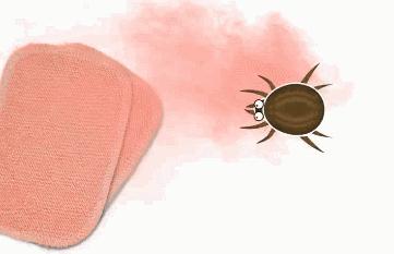 肉眼可见的除螨效果，日本爆款除螨贴，24小时不间断，除螨率高达97%