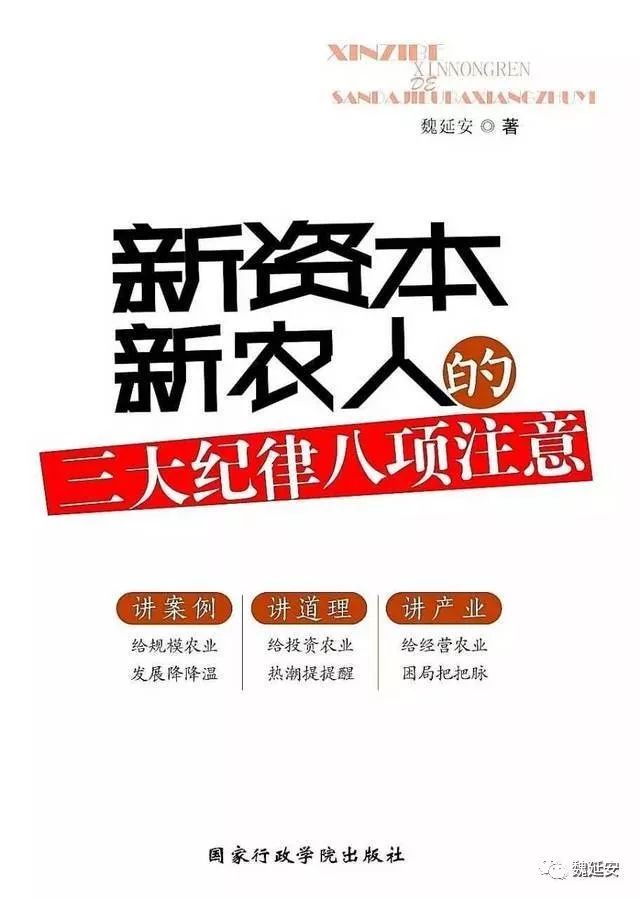 周末读书︱魏延安：青春没有悲伤——读杨则纬新作《首尔邮箱》