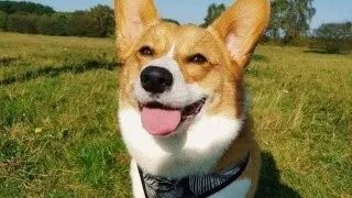 科普今年最火的美容仪真的有用吗,最近很火的美容仪有什么区别