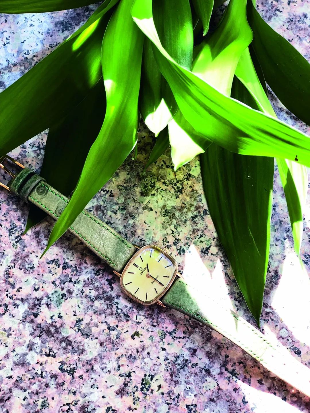 我必亲手重建我的生活免费阅读,我必将亲手重建我的生活