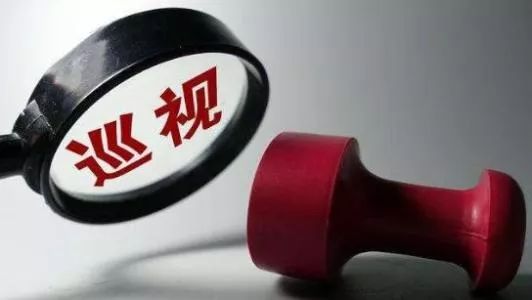 揭秘:十来人的巡视组如何巡查一个地级市?