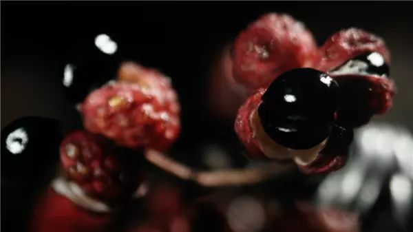 陈晓卿陈导：人间风味没我不爱吃的双手曾沾满天津皮皮虾的鲜血