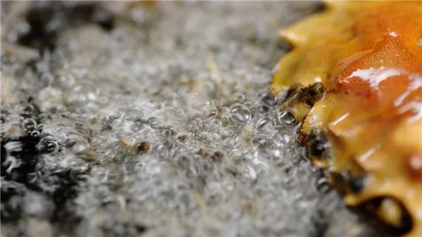 陈晓卿陈导：人间风味没我不爱吃的双手曾沾满天津皮皮虾的鲜血