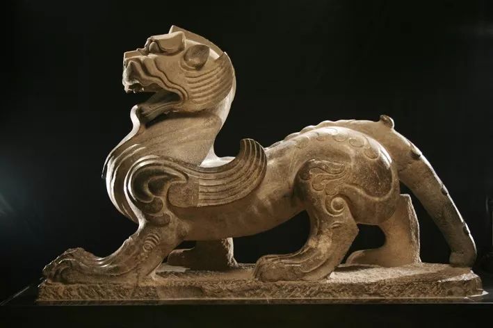 十部顶级神奇动物电影,最新电影神奇动物在哪里