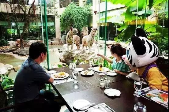 广州长隆3天珠海长隆2天怎么玩,广州长隆珠海旅游攻略