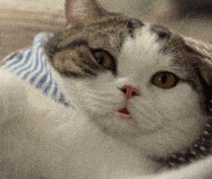 女白领眼睛干涩,女性白领干眼症