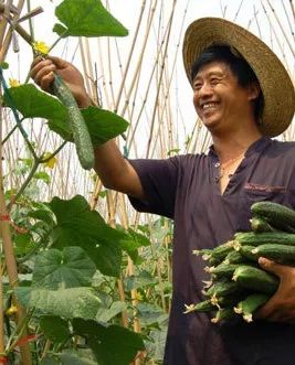 鍏ㄥ浗浼樼鍐滄皯涓撲笟鍚堜綔绀剧ず鑼冪ぞ,鍩哄眰鏈嶅姟鏍囨潌
