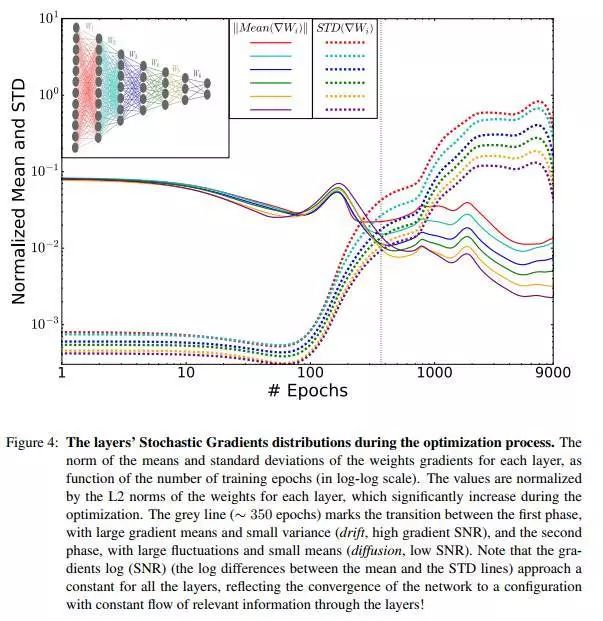 学习中最重要的是遗忘？新理论将揭秘机器学习神秘面纱