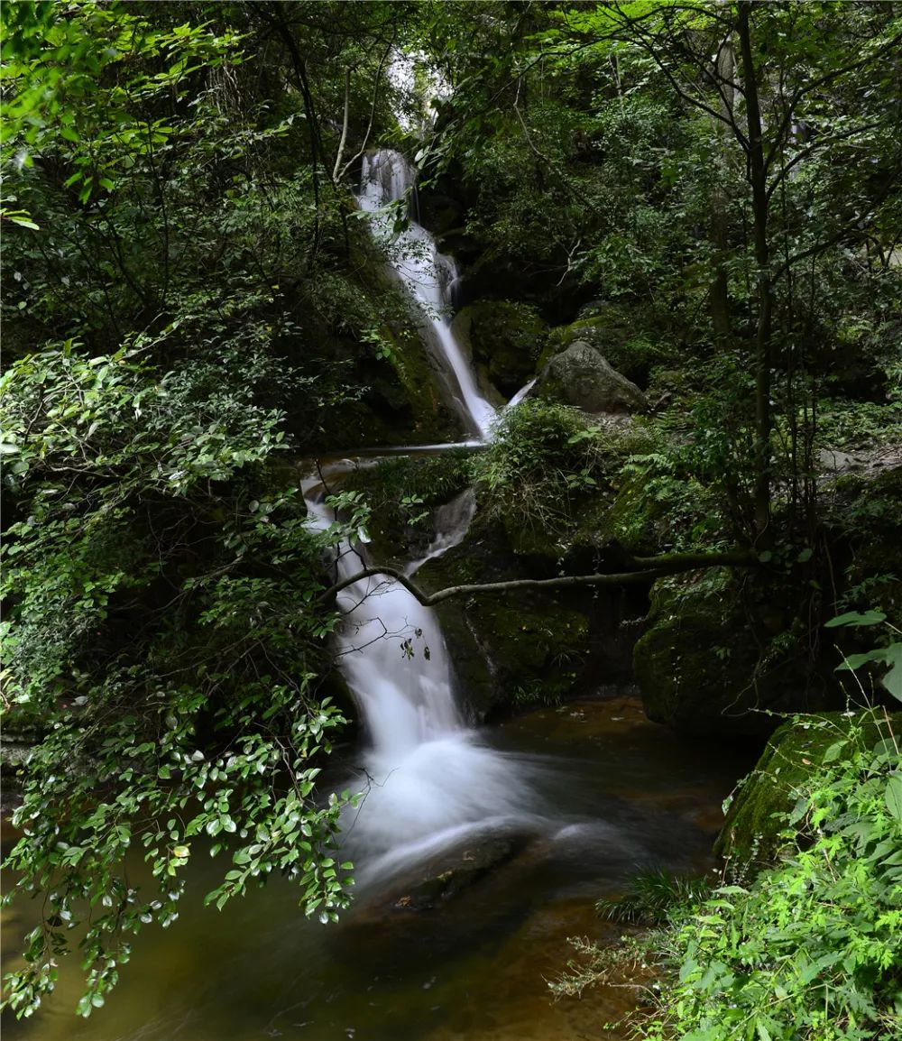 魅力中国城是为了什么,魅力中国城广元视频