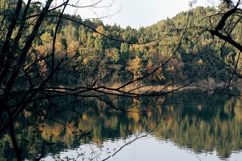 她不上班也不靠脸吃饭，住2层小楼，过上了别人做梦都要的日子！