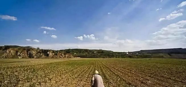 农村做什么项目有发展,4个目前农村热门种植项目