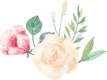 连续使用两个疗程浆膜炎和副粘病毒混感还不能根治，不要执着了，必须使用我们的黄金搭档