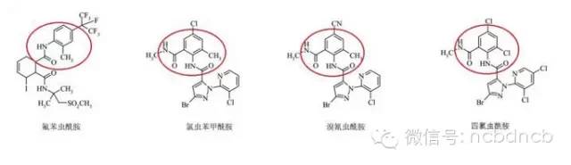 康宽、垄歌、倍内威、艾法迪和9080谁更强?