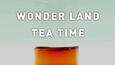 伽蓝廊走后，其他的一切都是将就……