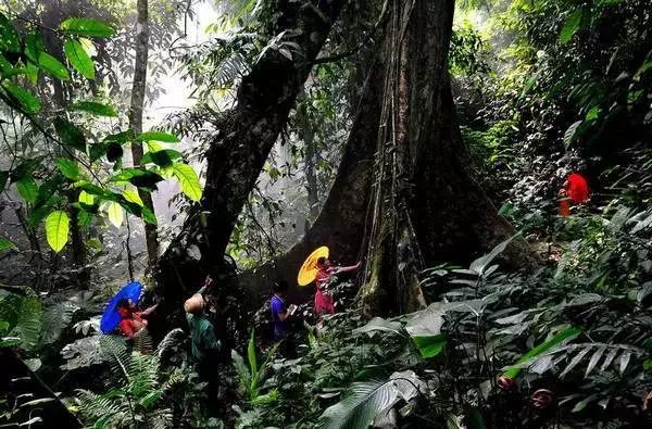 云南景点门票团购特价票,云南石林丽江旅游攻略