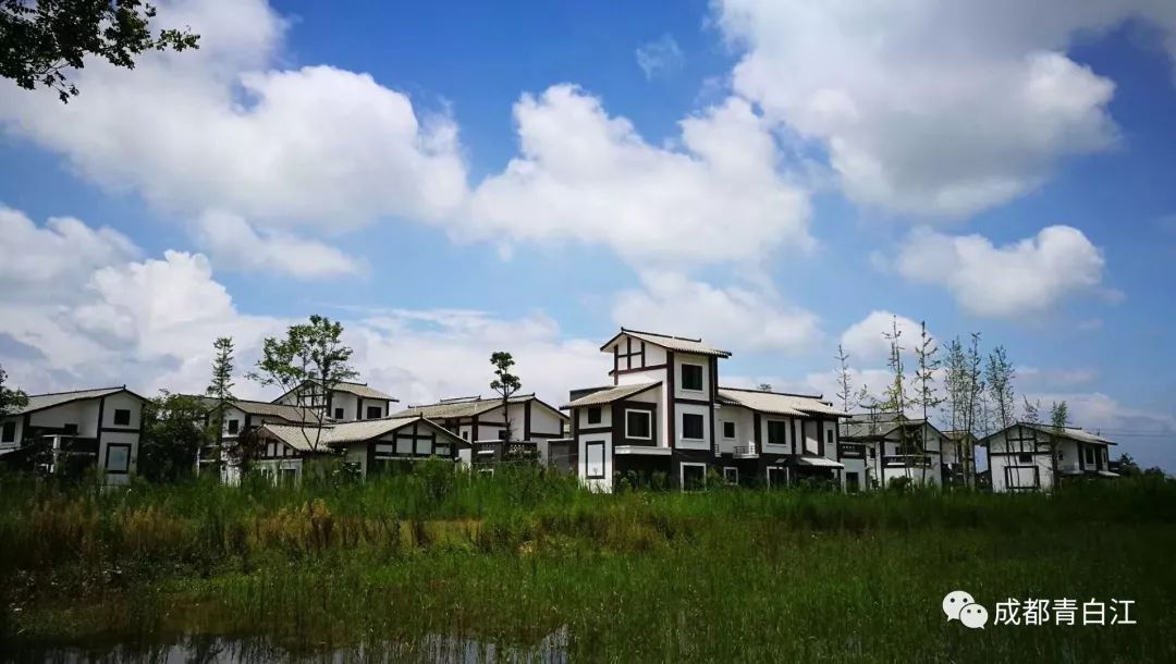 成都市青白江区重点项目计划,青白江升级规划