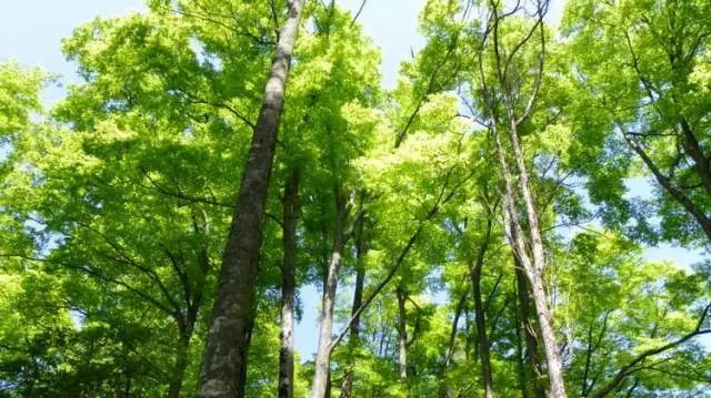 巴中风景区排行榜前十名,巴中网红打卡